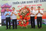 Triển lãm sinh vật cảnh phường Từ Sơn: Lan tỏa sắc xanh văn hóa Kinh Bắc