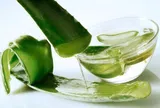 Cây cảnh quen thuộc chứa đựng kho dưỡng chất ít người biết hết