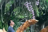 Nghệ nhân Phạm Minh Sơn: Người đưa sắc xanh trở lại không gian sống đô thị