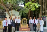 Vĩnh Long: Công nhận cây gội nước hơn 200 năm tuổi là Cây Di sản Việt Nam