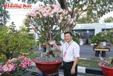 Nghệ nhân Huỳnh Đức Thuận: Mỗi gốc sứ là một tác phẩm tâm huyết