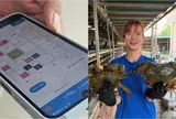 Tỷ lệ sống vượt trội, giá trị tăng mạnh: Đây là điều AI đang làm được với nghề nuôi cua lột ở Nam Bộ