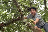 Vườn rau sạch trong khu nghỉ dưỡng 4.000 m² của ca sĩ Trọng Tấn: Góc bình yên giữa nhịp sống hiện đại