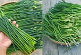 Loại rau dân dã người Việt ăn hàng ngày nhưng ít ai biết tác dụng với nam giới
