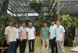 Kỳ 4: Vườn lan trong lòng phố