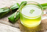 Sự thật về nước lá dứa: Uống mỗi ngày có tốt như nhiều người nghĩ?