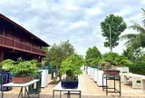 Nhà vườn Minh Hạnh: Chọn lối đi riêng để giữ hồn bonsai Việt
