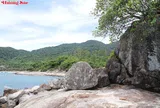 Thiên nhiên: Người thầy vĩ đại và Triết lý độc bản trong nghệ thuật Bonsai
