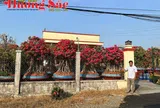 Mười Cảng: Người thổi hồn vào những gốc sứ Tây Ninh