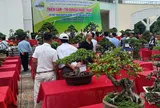 Phát triển hoa, cây cảnh: Hướng đi chiến lược của nông nghiệp sinh thái Quảng Ninh