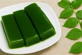 Loài cây từng bị bỏ quên nay trở thành “mỏ vàng xanh” ở vùng quê Việt