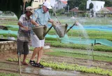 Du lịch làng nghề Đà Nẵng: Từ tiềm năng đến động lực phát triển mới