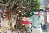 CLB Truyền thông Việt Nam hương sắc: Kết nối thực tiễn, lan tỏa giá trị