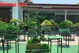 Thái Nguyên thành lập Câu lạc bộ Bonsai, ra mắt không gian kết nối người yêu cây cảnh