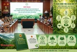Triển khai Nghị định 180: Hoàn thiện hành lang pháp lý cho thị trường các-bon rừng Việt Nam