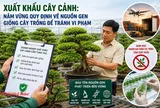 Bài 2 - Xuất khẩu cây cảnh: Nắm vững quy định về nguồn gen giống cây trồng để tránh vi phạm