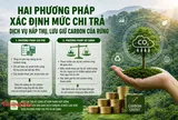 Hai phương pháp xác định mức chi trả dịch vụ hấp thụ, lưu giữ carbon của rừng