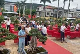 Quảng Ninh: Nâng chất lượng “làm nghề” – nền tảng xây dựng thương hiệu sinh vật cảnh