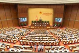 Quốc hội thảo luận sửa đổi 10 luật, thúc đẩy cải cách thủ tục hành chính trong nông nghiệp và môi trường