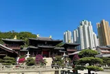 Giải thưởng Thành phố Xanh Thế giới AIPH 2026: Khi cây xanh trở thành hạ tầng thiết yếu của đô thị