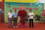 Gần 500 tác phẩm hội tụ tại triển lãm cây cảnh nghệ thuật Tam Hiệp