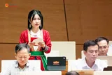 Từ giấy lưu hành phân bón đến thuốc BVTV xuất khẩu: Điểm nghẽn nhìn từ thị trường phân bón và thuốc BVTV