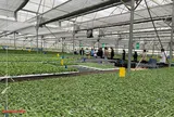 Sinh vật cảnh Hải Phòng trước cơ hội từ chính sách phát triển nông nghiệp hàng hóa