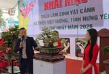Góc nhìn chuyên gia: Rủi ro pháp lý từ các phiên đấu giá cây cảnh nghệ thuật