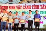 Khai mạc Hội thi Sinh vật cảnh tỉnh Tây Ninh, phát động Cuộc thi Bonsai & Suiseki Việt Nam 2026