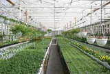 Hà Nội đối thoại với nông dân, tháo gỡ khó khăn trong phát triển nông nghiệp xanh, bền vững