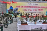 Triển lãm Sinh vật cảnh Hồng Gai (Quảng Ninh)