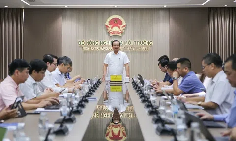 Nông nghiệp tăng tốc trong chặng cuối năm 2026