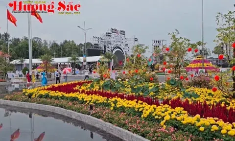 Thăm Festival hoa - kiểng Sa Đéc 2025 ở Đồng Tháp