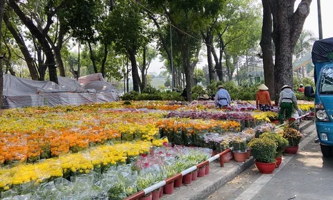 Thị trường hoa Tết: Những biến động âm thầm phía sau sắc xuân rực rỡ