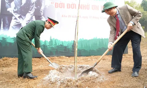 Tết trồng cây - Di sản xanh từ tư tưởng Chủ tịch Hồ Chí Minh