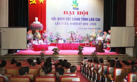 Hợp nhất Hội Sinh vật cảnh Lào Cai và Yên Bái thành Hội Sinh vật cảnh tỉnh Lào Cai