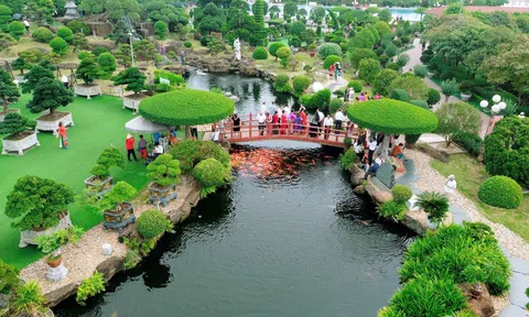 Sinh vật cảnh Việt Nam: Gắn kết thiên nhiên, văn hóa và kinh tế di sản trong kỷ nguyên mới