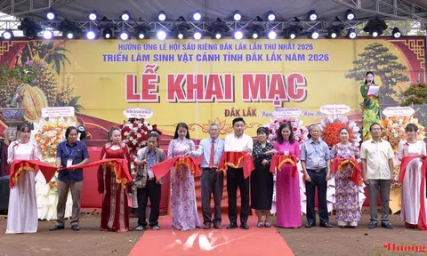 Hơn 1.000 tác phẩm sinh vật cảnh hội tụ chào mừng Lễ hội Sầu riêng Đắk Lắk 2026
