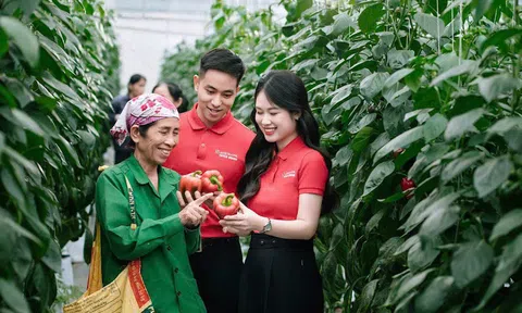 Bộ Nông nghiệp và Môi trường công bố thủ tục kiểm dịch thực vật sửa đổi