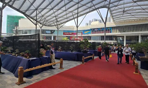 Kuala Lumpur rực sắc bonsai – Ngày hội Bonsai thế giới lần thứ 10 hội tụ tinh hoa nghệ thuật quốc tế