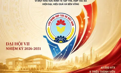 Liên minh HTX Việt Nam đổi mới để dẫn dắt khu vực kinh tế tập thể