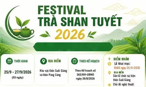 Festival Trà Shan tuyết Lào Cai năm 2026: Quảng bá giá trị chè cổ thụ gắn với văn hóa vùng cao