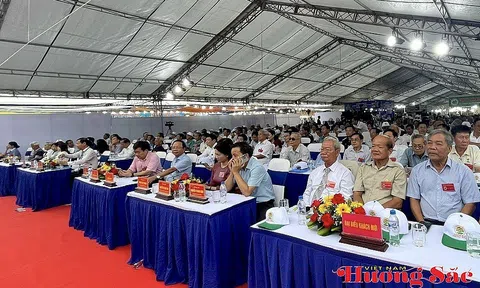 Quảng Ngãi: Hội tụ tinh hoa sinh vật cảnh các vùng miền