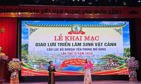 Xâm phạm quyền sở hữu trí tuệ đối với logo Hội Sinh vật cảnh Việt Nam: Nhận diện và giải pháp xử lý