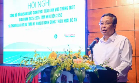 Tín chỉ carbon từ ruộng đồng – cơ hội mới cho nông nghiệp Việt Nam chinh phục thị trường quốc tế