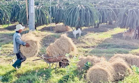 Tin khuyến nông: Kỹ thuật xanh, nông nghiệp sạch – Bước chuyển mình của nông thôn Việt Nam