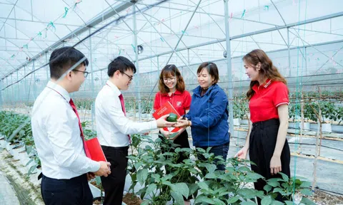 Triển khai Thông tư 60/2025/TT-BNNMT: Kiện toàn hệ thống khuyến nông gắn với chính quyền cơ sở