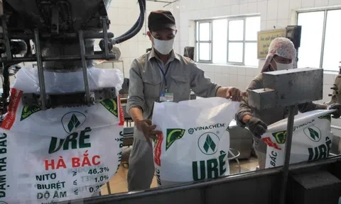 Đạm Hà Bắc bao giờ sạch lỗ lũy kế?