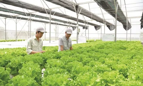 Hà Nội công bố nhiều thủ tục hành chính nội bộ lĩnh vực nông nghiệp và môi trường