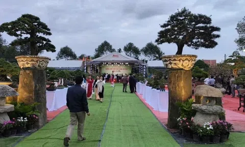 Ngắm các tác phẩm đá cảnh trong Triển lãm Sinh vật cảnh An Phú – Xuân 2026